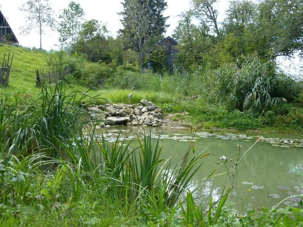 Hiemer 2 Comfortable Holiday Residence Sulzberg Holiday home